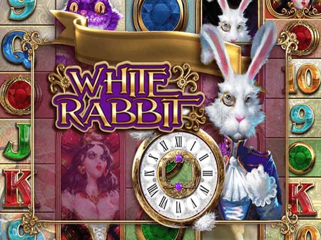 White Rabbit